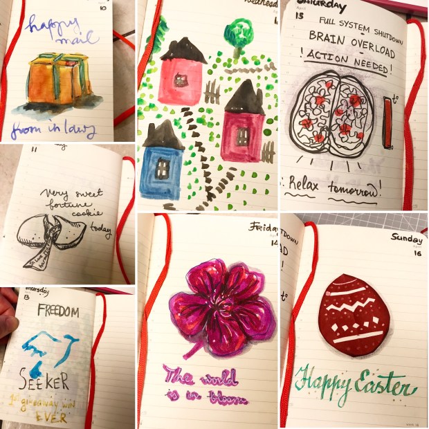 D220DBE2-D77B-4F0F-BD5B-13A6A728AAE2