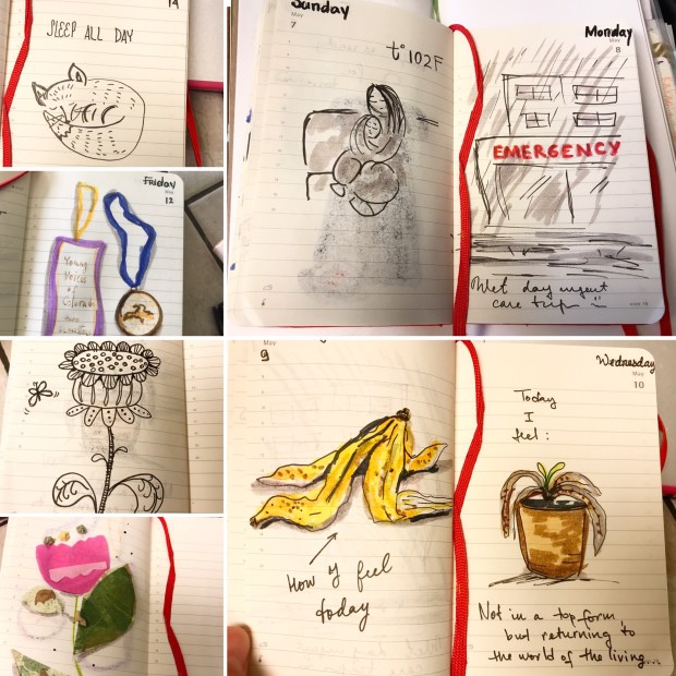 058BA2E2-0661-4074-B987-334E496A6EEC