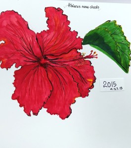 hibiscus greenrainart 2015
