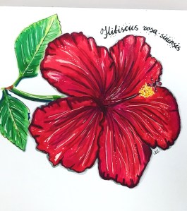 hibiscus greenrainart 2016