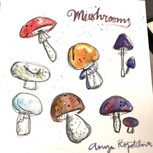 mushroom illustration pen and watercolor greenrainart