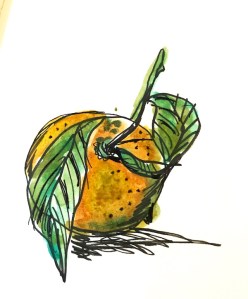 orange 3 minute sketch greenrainart
