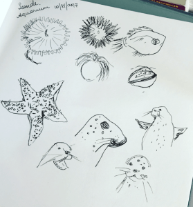 seaside aquarium sketches greenrainart