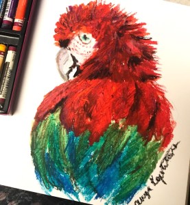 parrot oil pastel greenrainart
